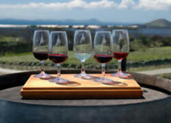 full day Mendoza con Bodegas