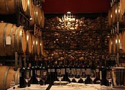 Mendoza & Salta Wine Tour