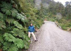 Carretera Austral y Ruta 40